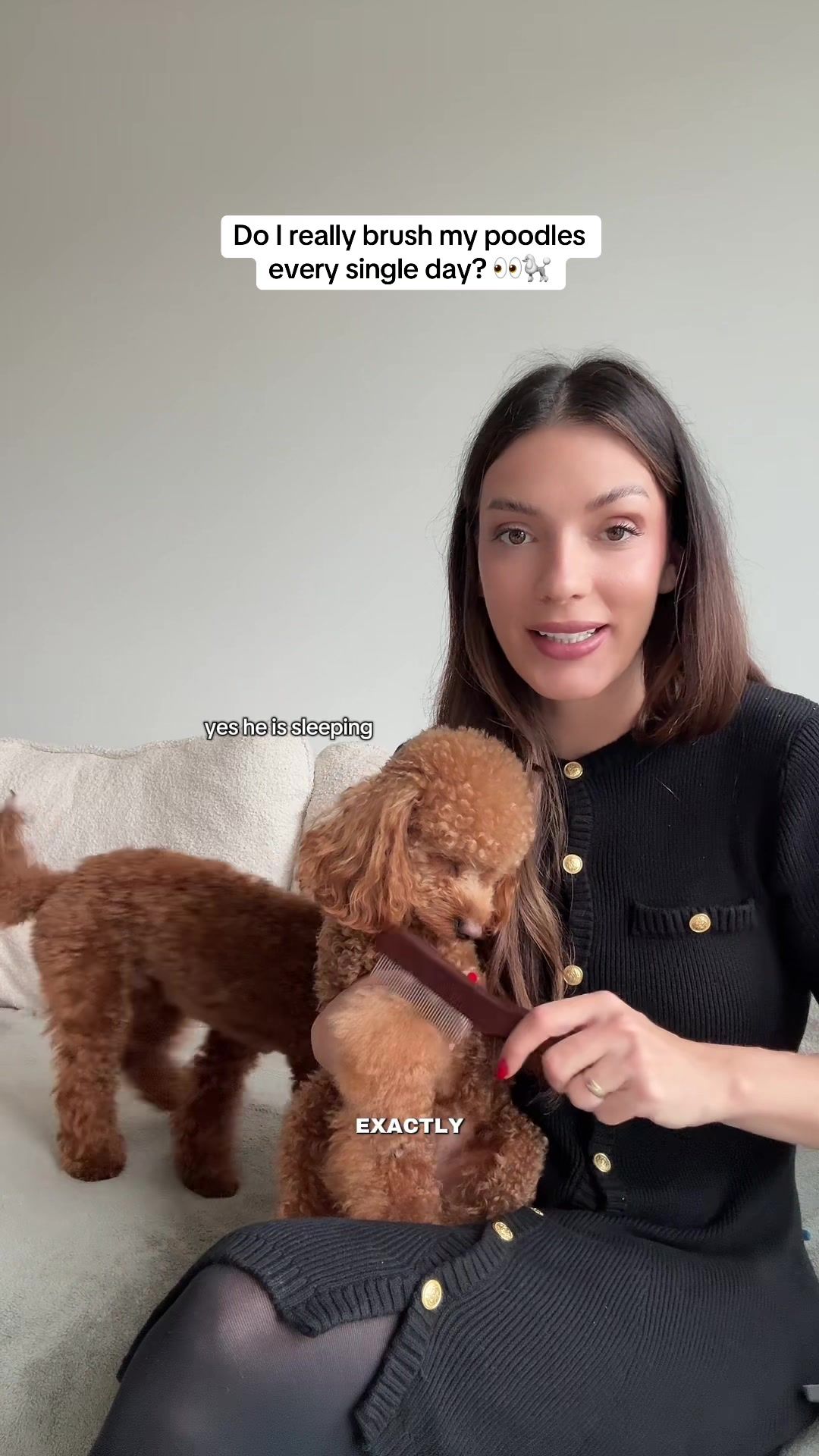@Two & A Half Poodles | Dog Mom