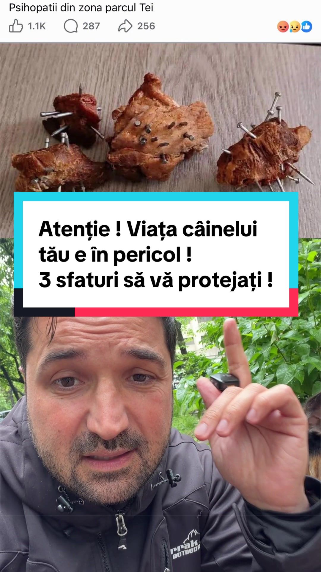 @Tudor-Tim Ionescu