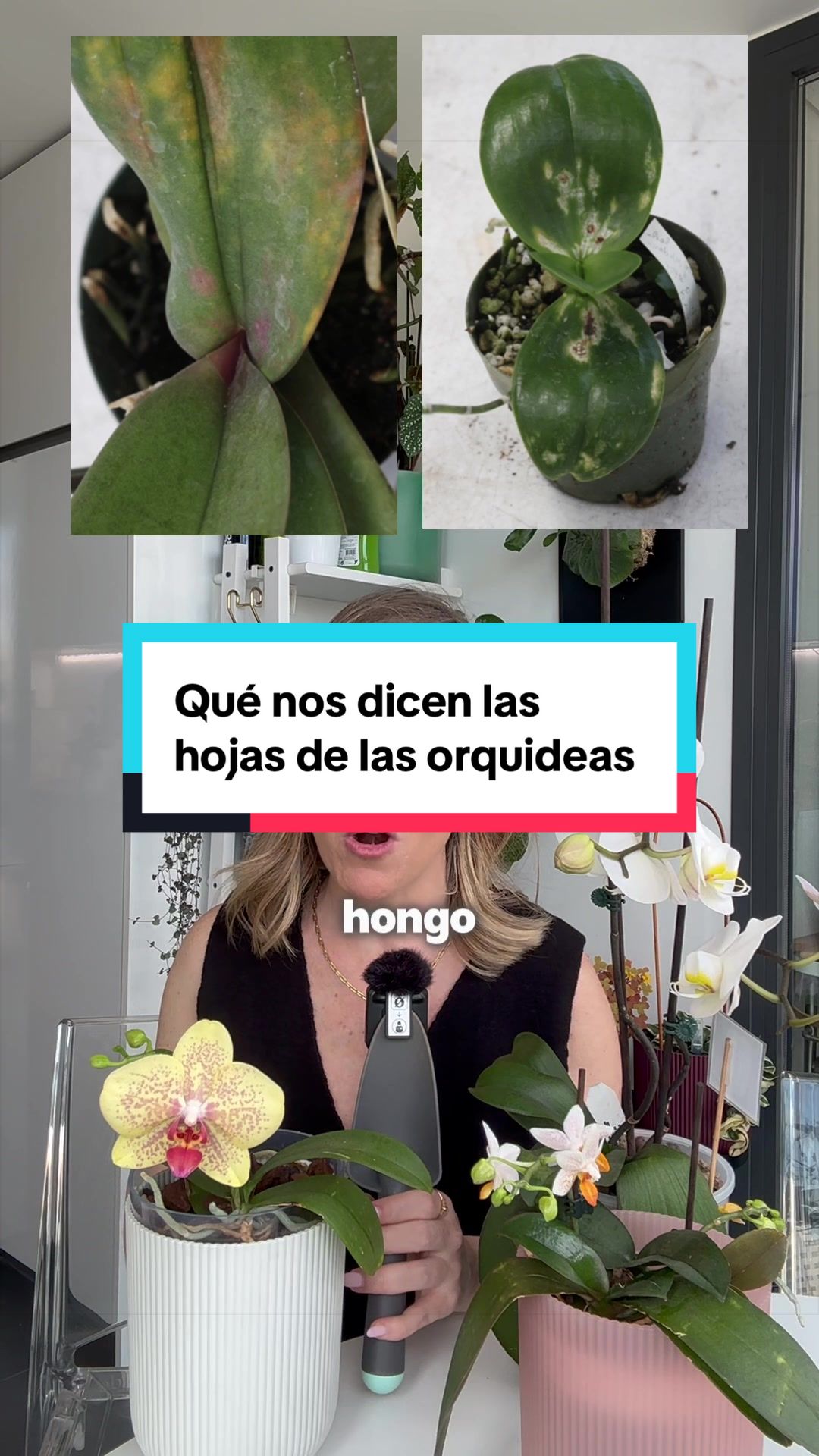@🌱 En Abril Hojas Mil 🌱