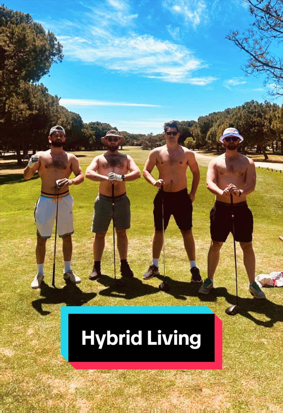 @Life Hybrid