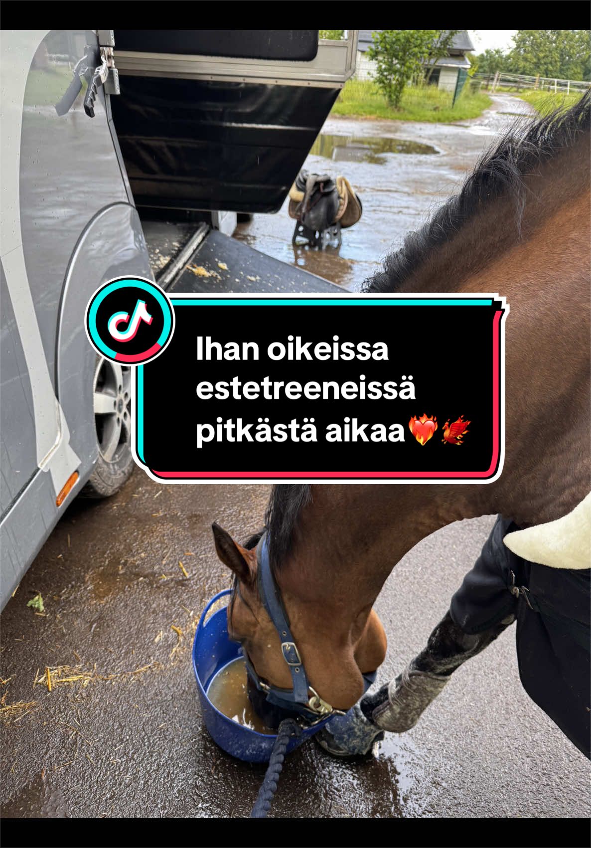 @Jani Laakso IG: jansspaa