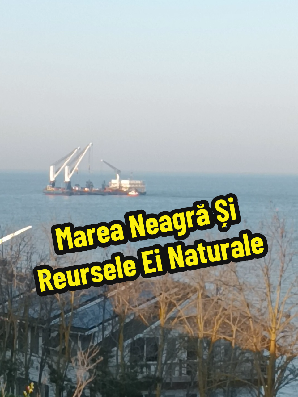 @👉 Băiatul De La Mare 🌊