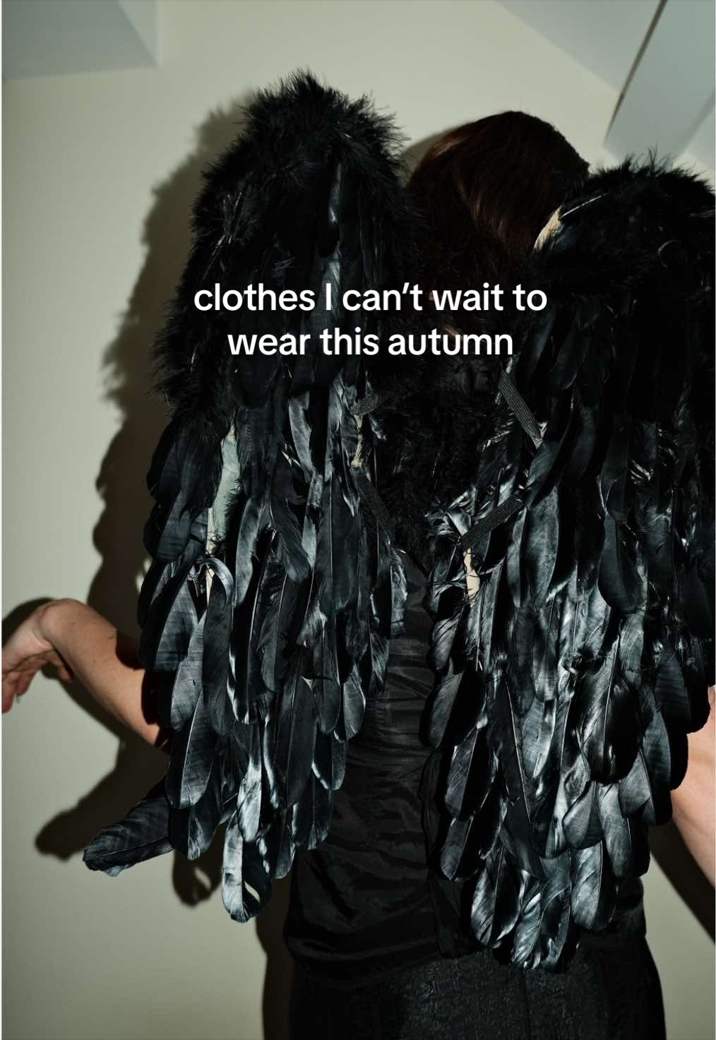 @amyleearchive