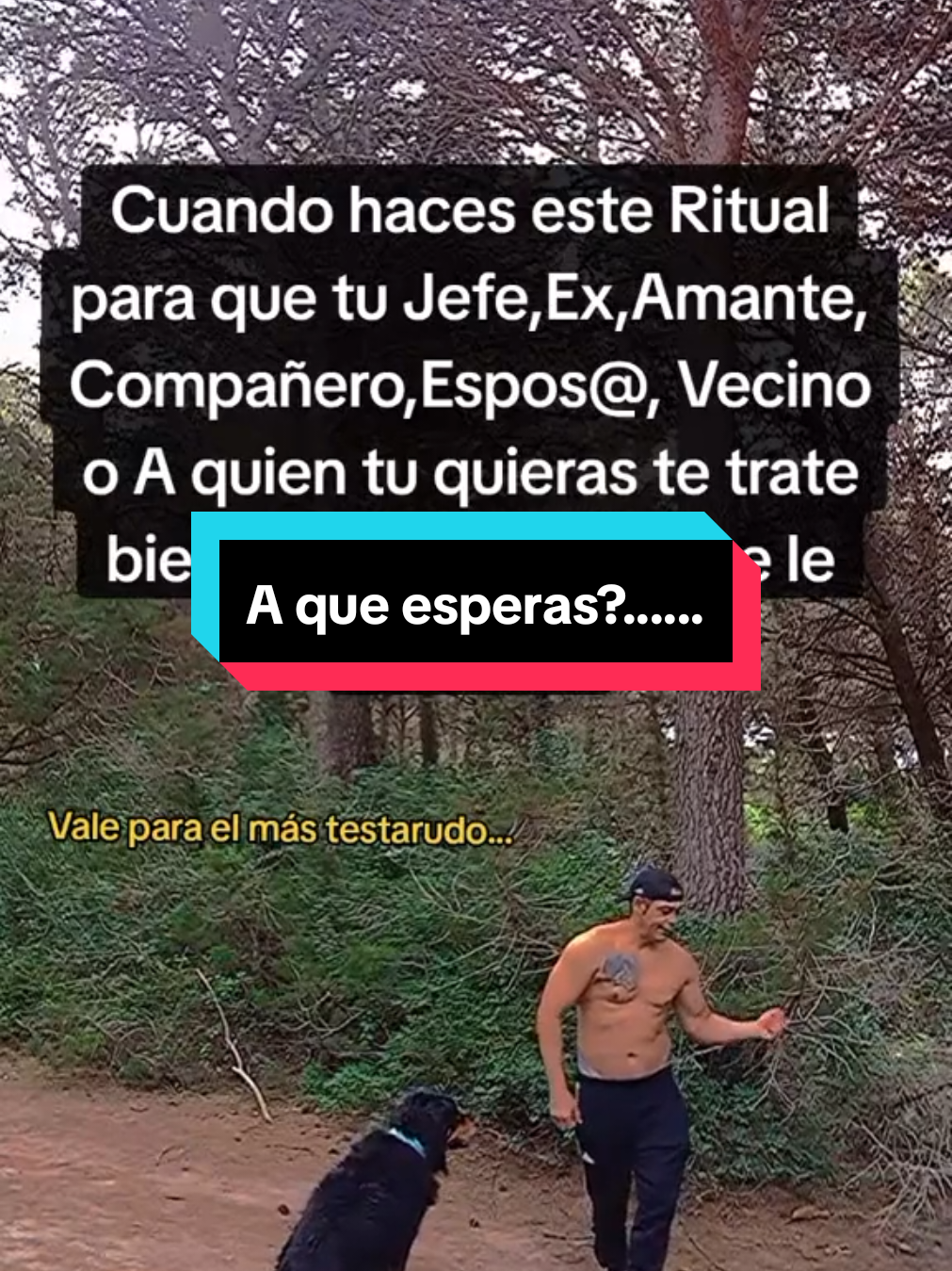 @Javi