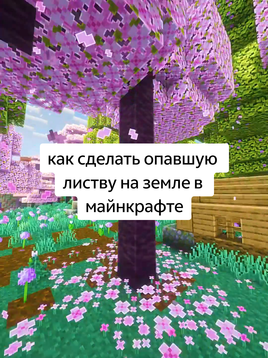 @Мурзик ТяН