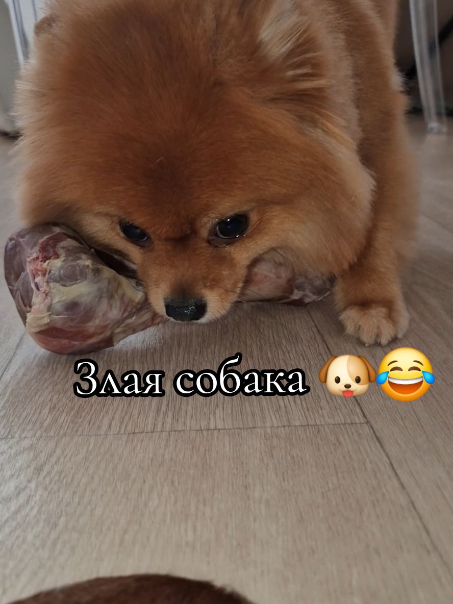 @๐๐๐ ๐๐๐๐๐๐๐ ๐พ๐โฌ