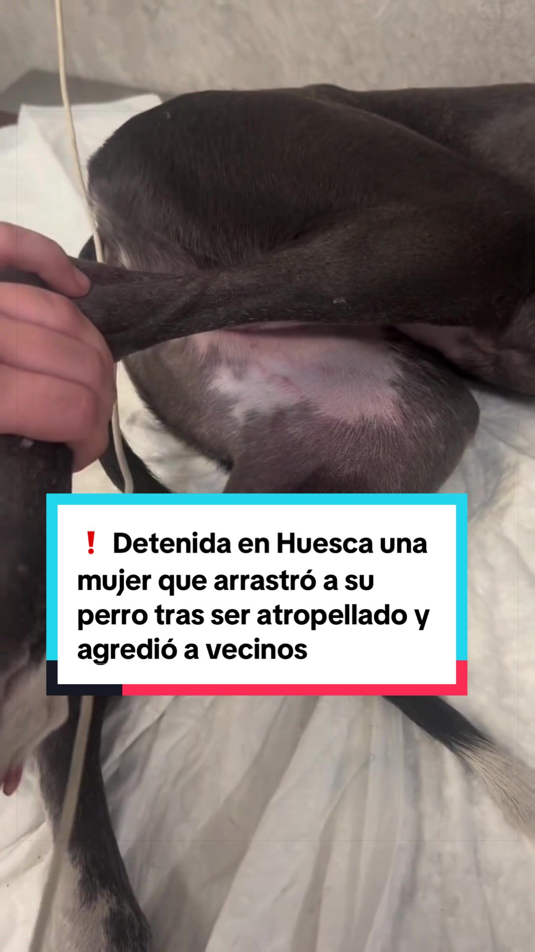 @Heraldo de Aragón - Noticias