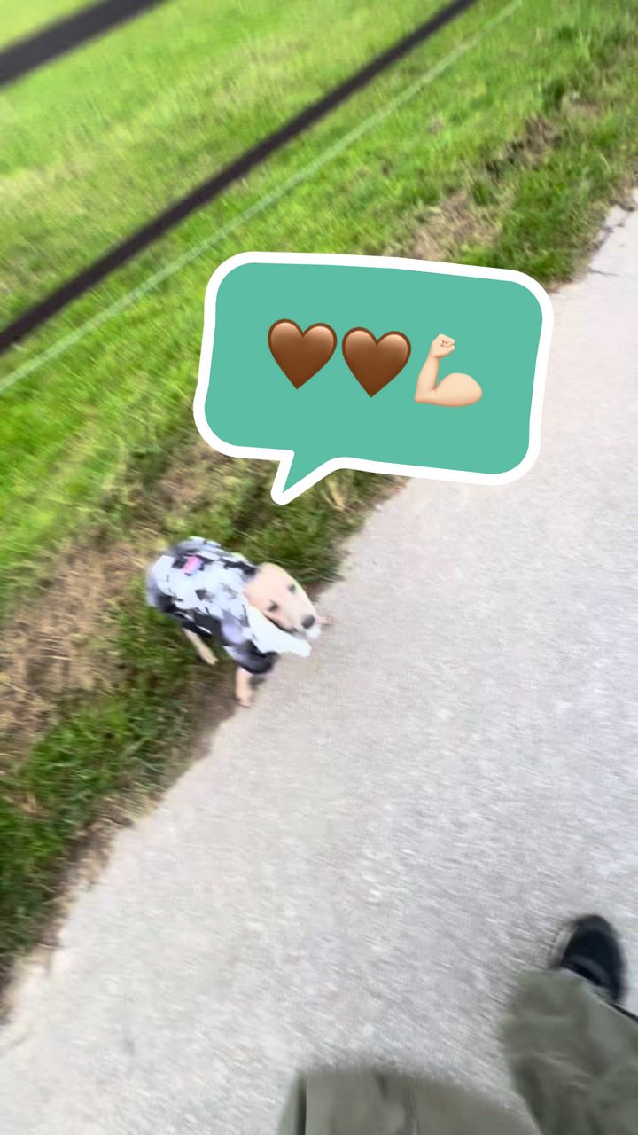 @poo.iggy.ontour