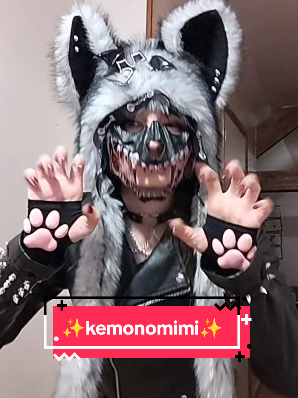 @🐺blackwolf.and.calicocat😺