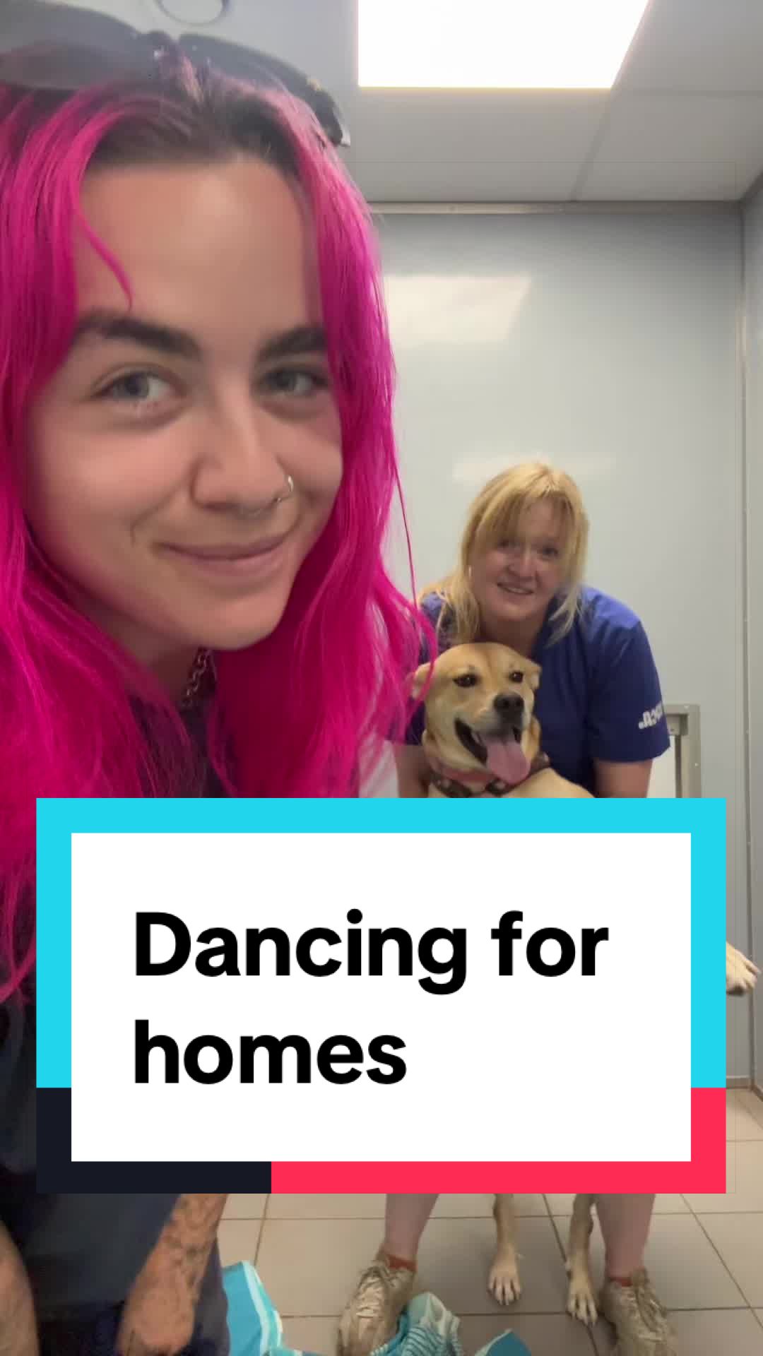 @RSPCA brighton