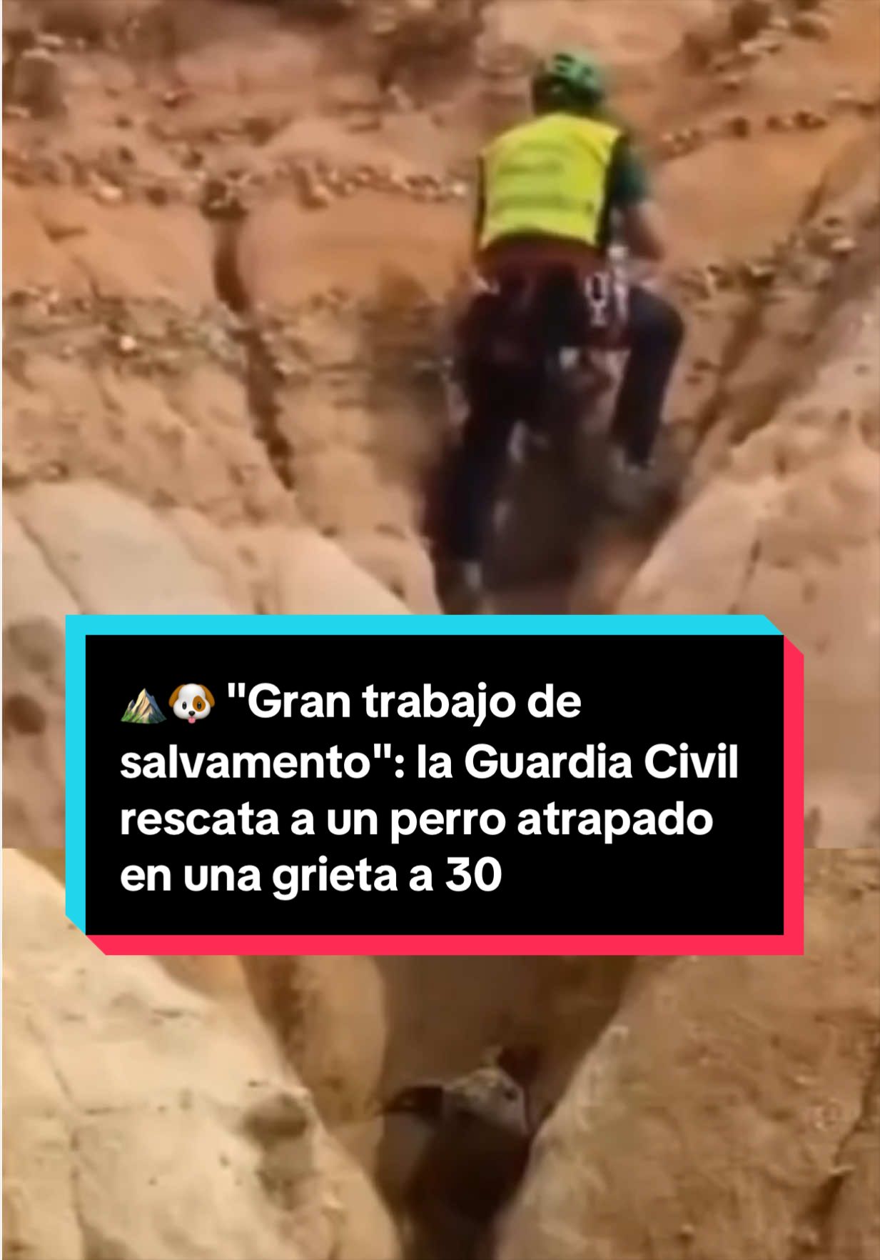 @EL ESPAÑOL 🦁