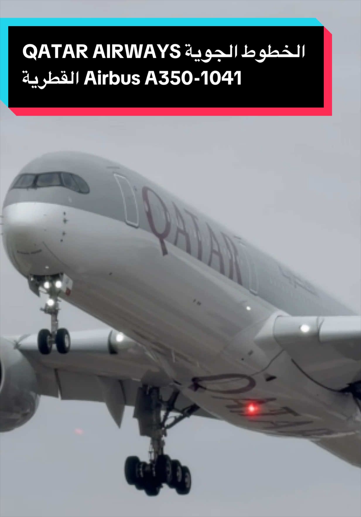 @AVIATION_YYZ_SPOTTER