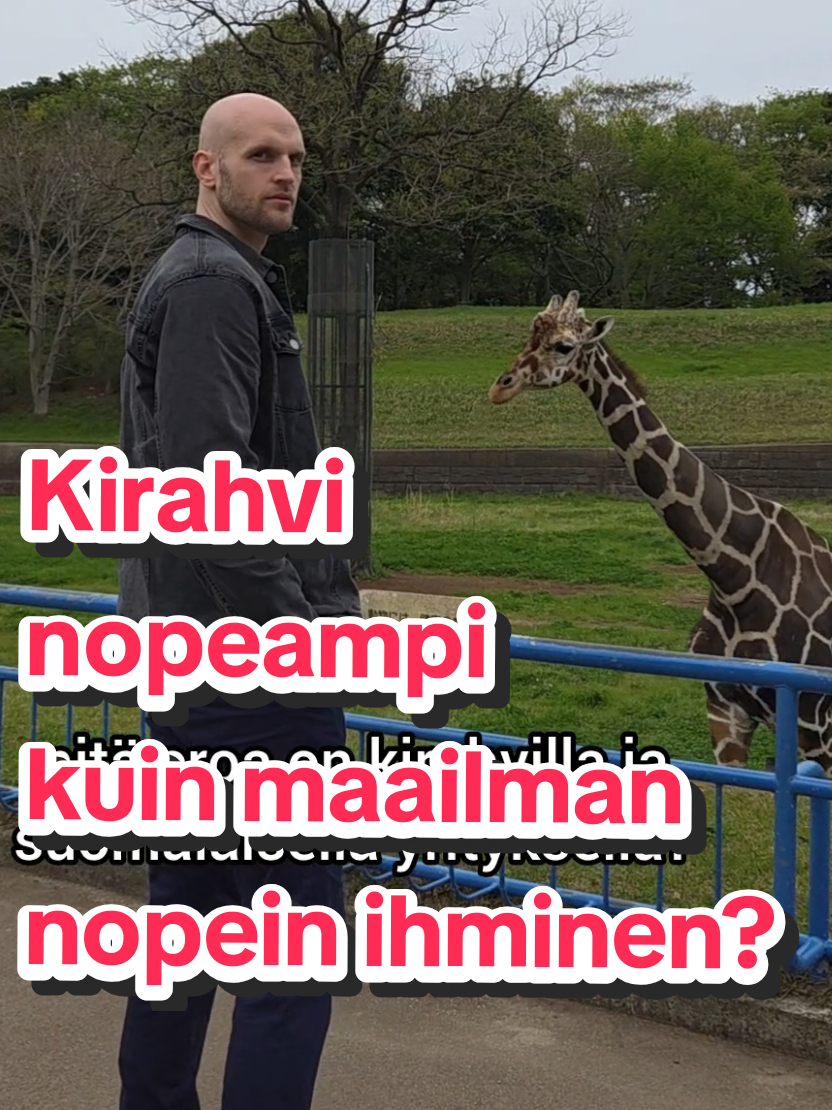 @Vesko