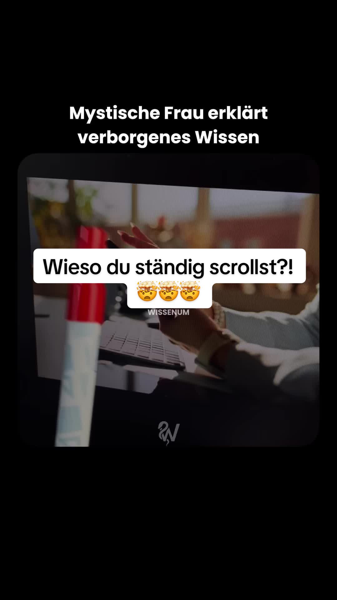 @thewissenum