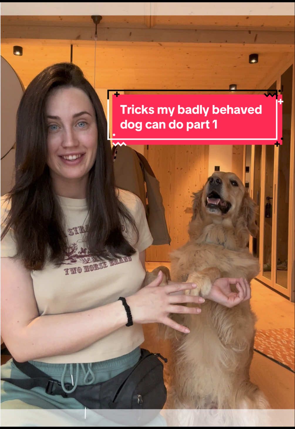 @Sheldon The Retriever