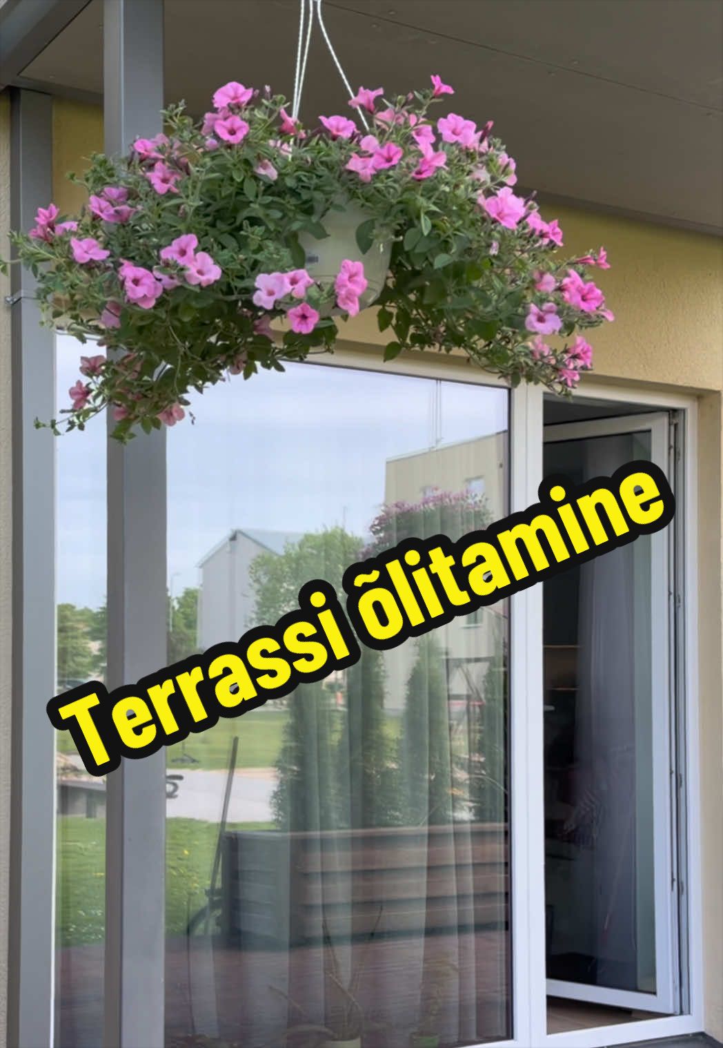 @kokat2di