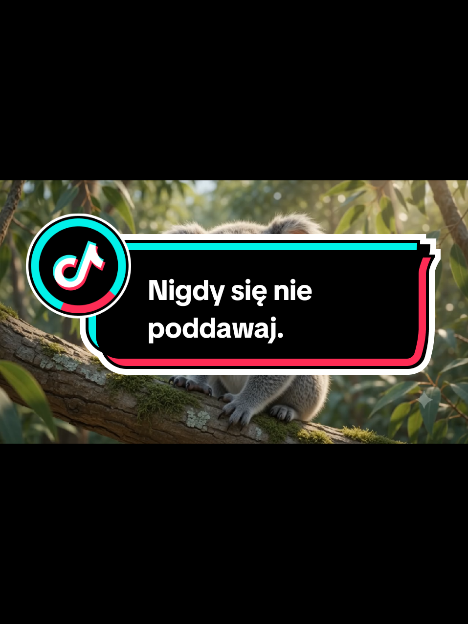 @Wesolutki 😎