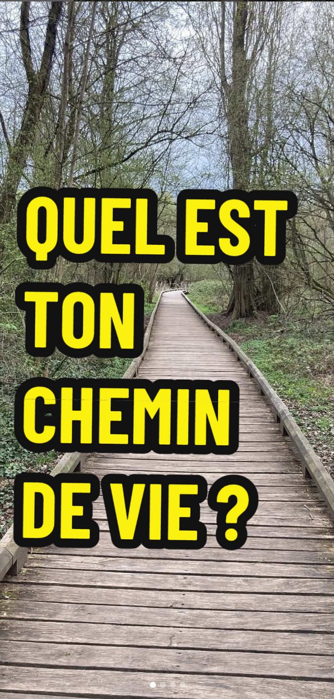 @SALAMAN LE GRIOT