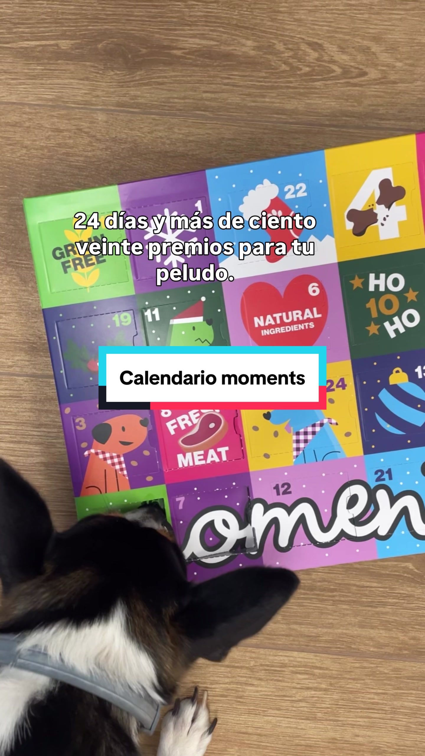 @Miscota &middot; Tienda para mascotas