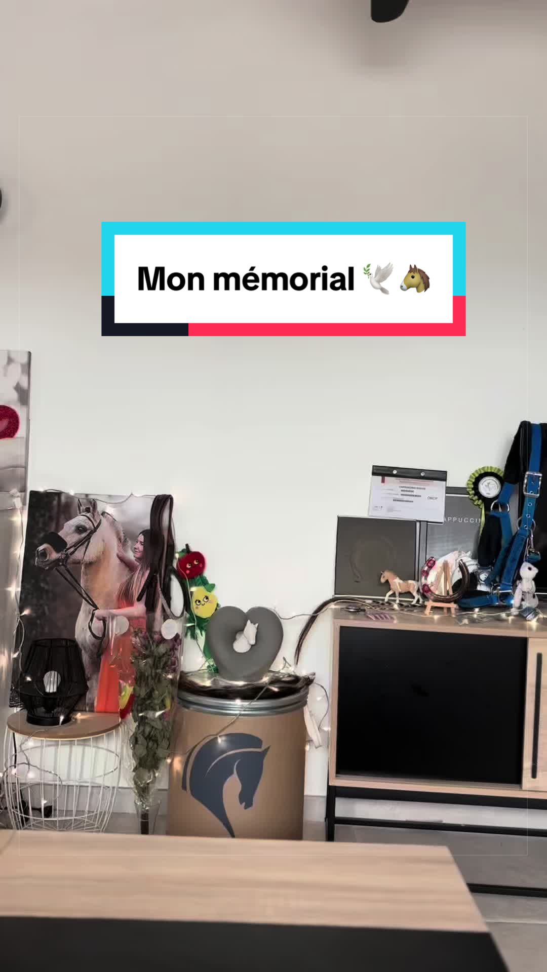 @mon poney pie
