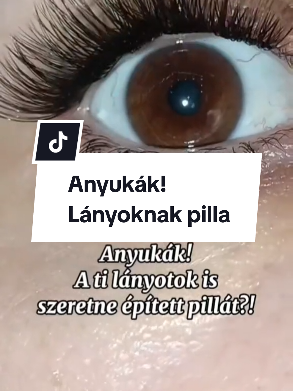 @LashMara 🦋