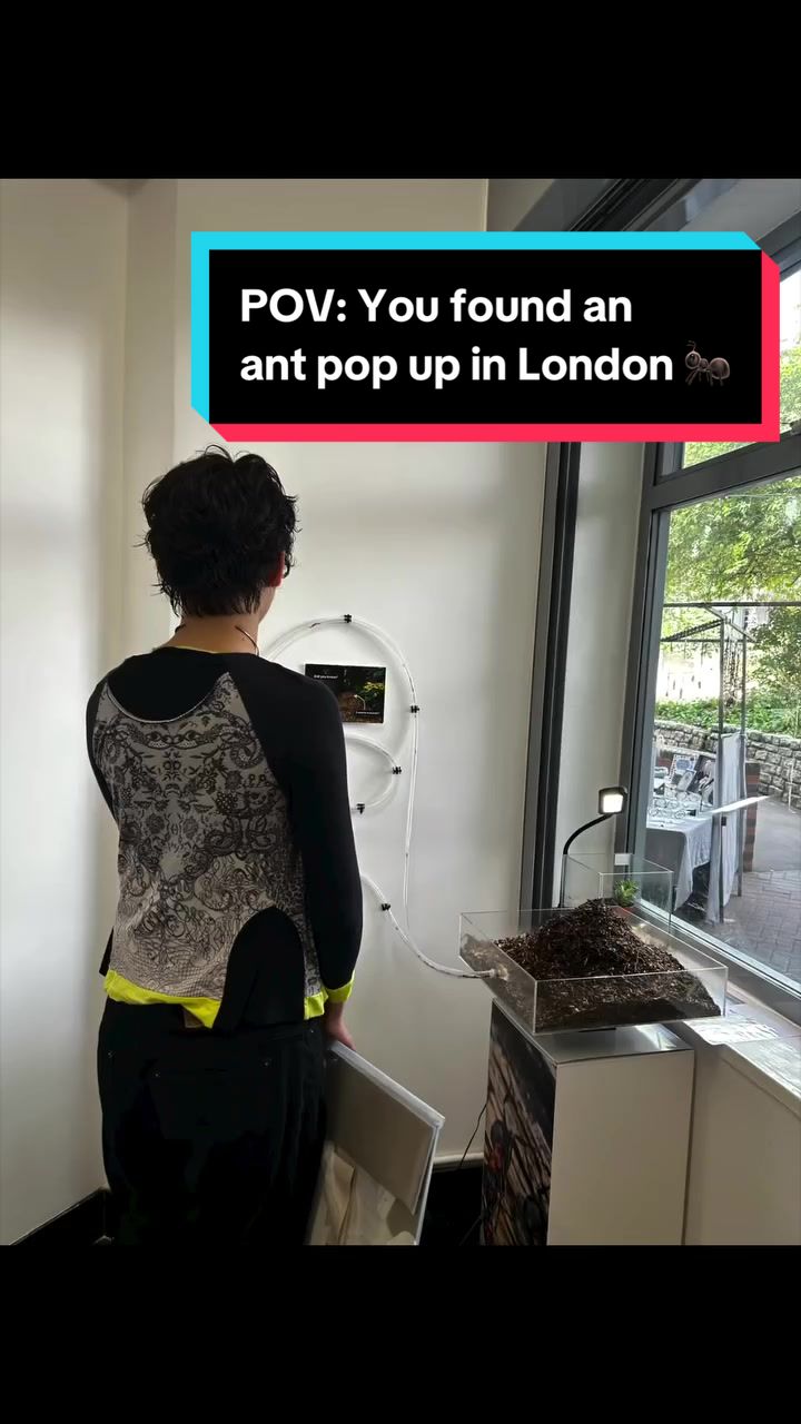 @antshq