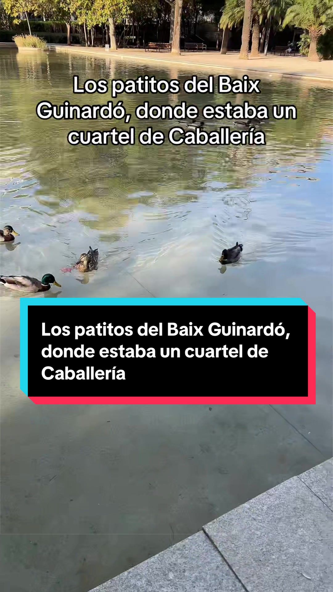 @Rafa Vilalta Rueda
