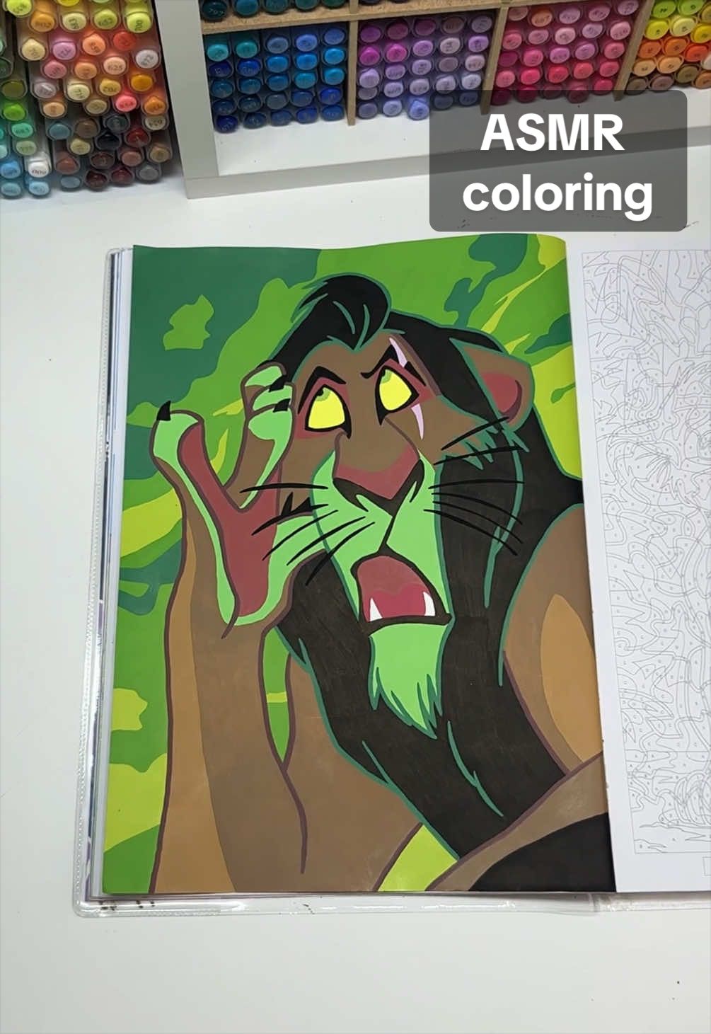@color.the.magic