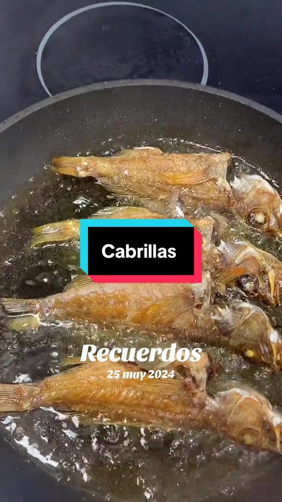 @Sofiaperestelo