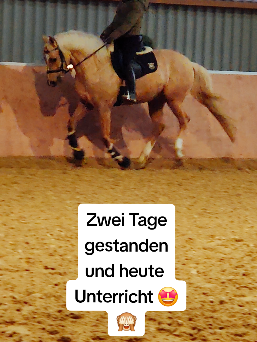 @Na_Apolo