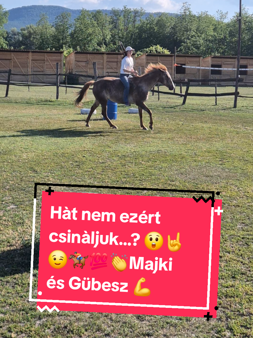 @Hal&aacute;pi Roland