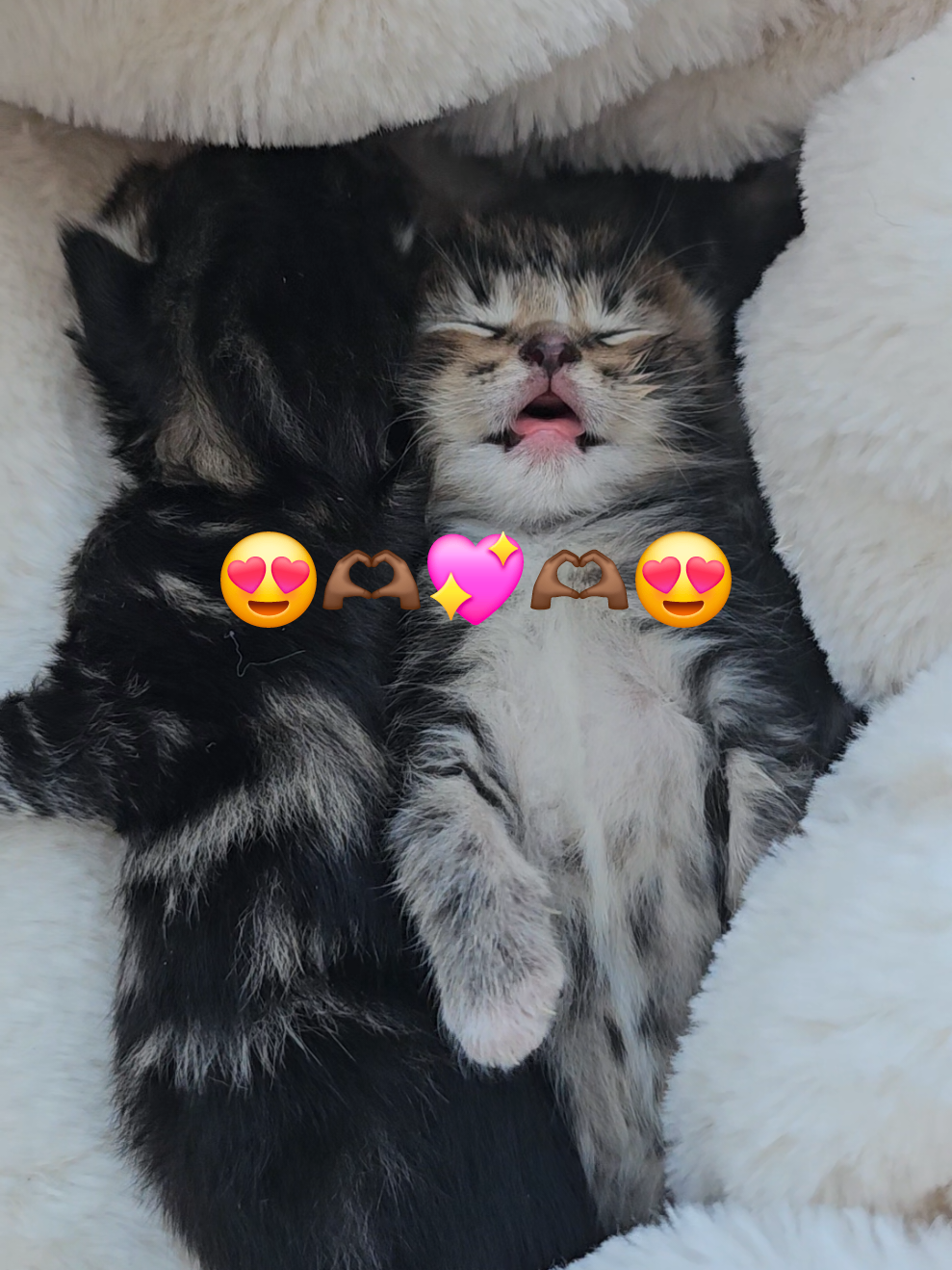 @🥀💦🥀&deg;Lindy&deg;🥀🌬️❤️&zwj;🔥💨🖤