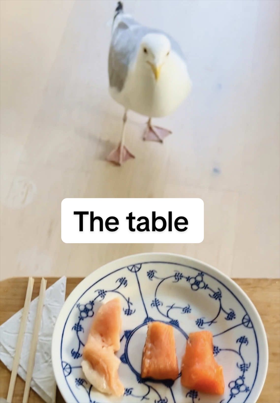 @Winston gull