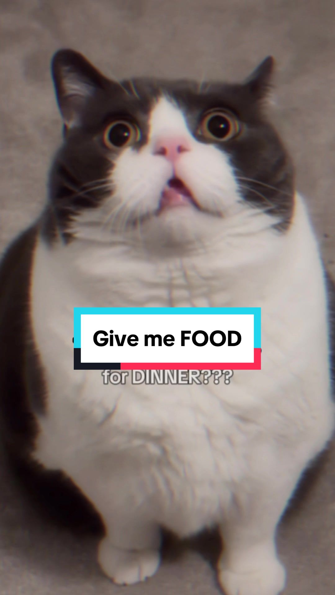 @Emojithecat