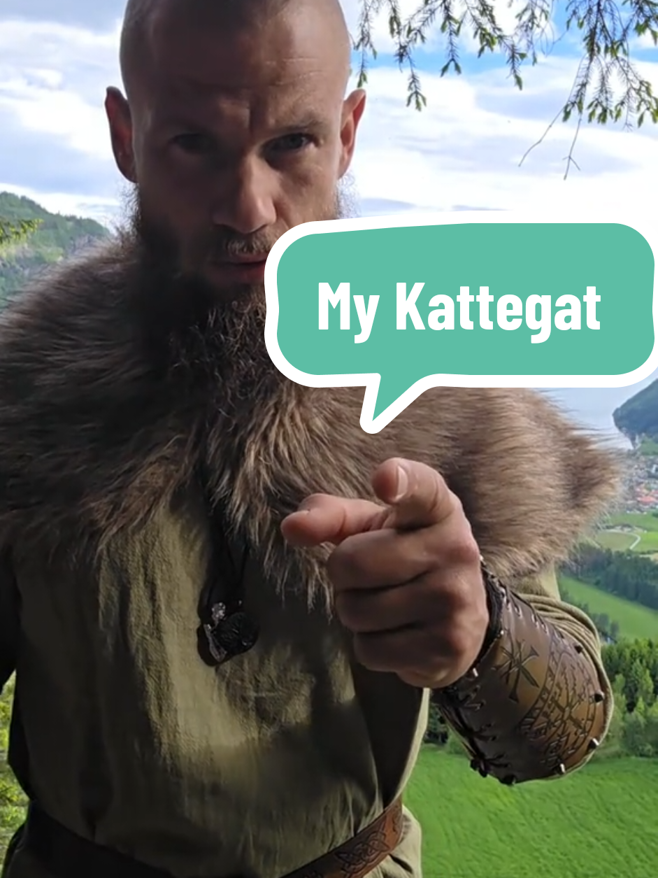 @VikinginVik