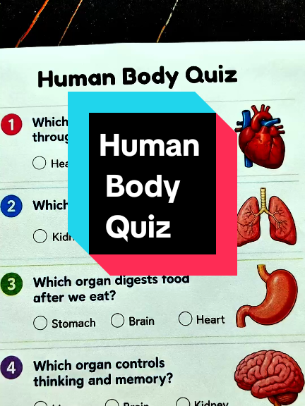 @Quiz Review
