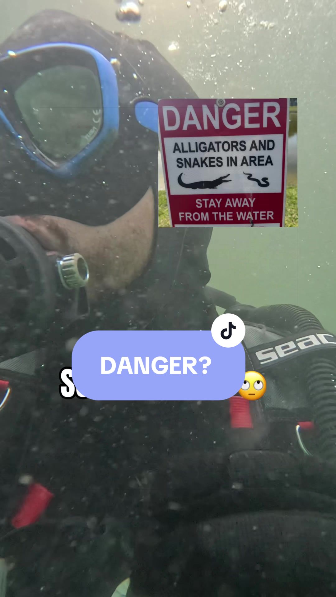 @SCUBA&ensp;DAN&ensp;🦈