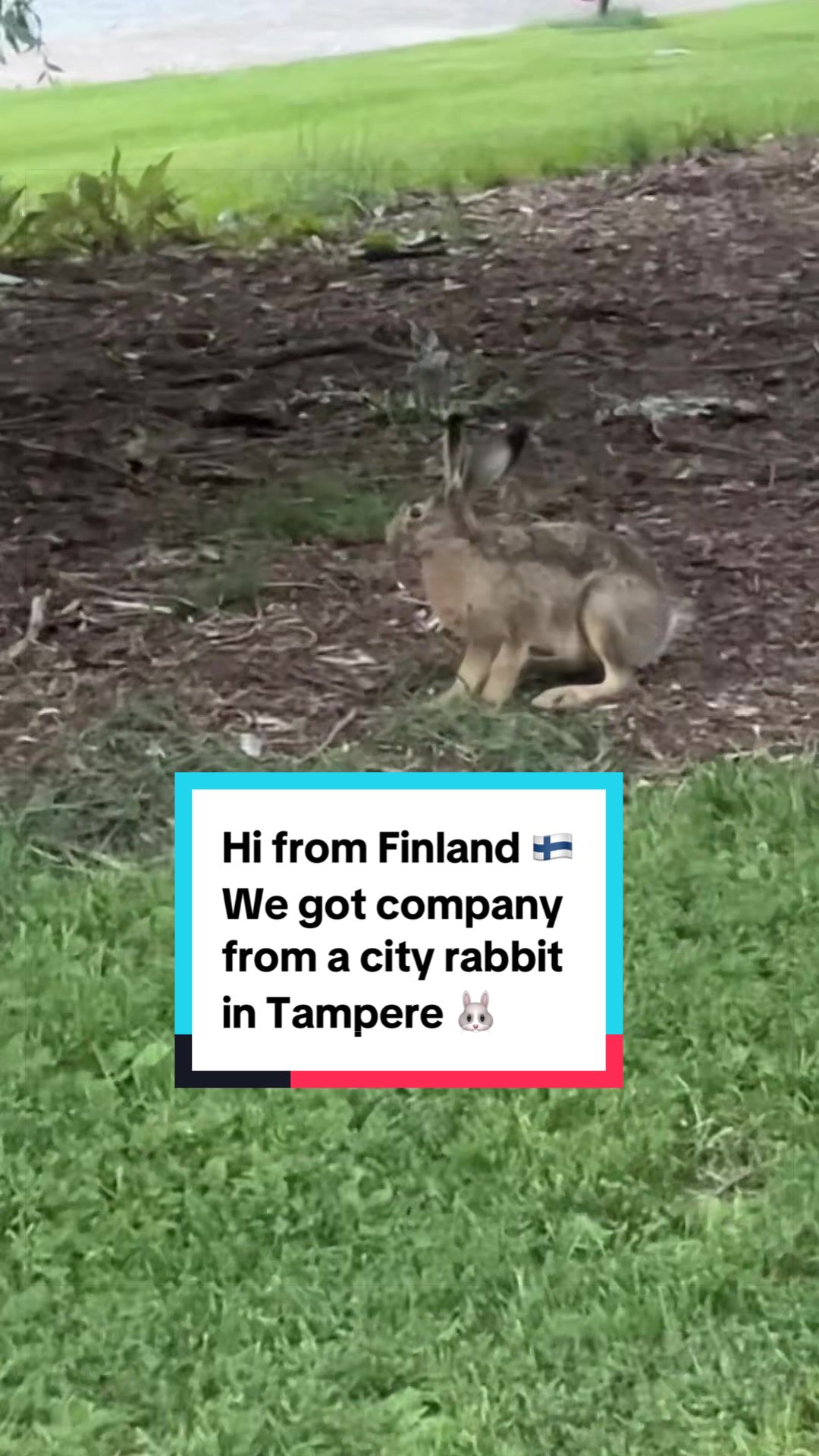 @Bebs 🇫🇮