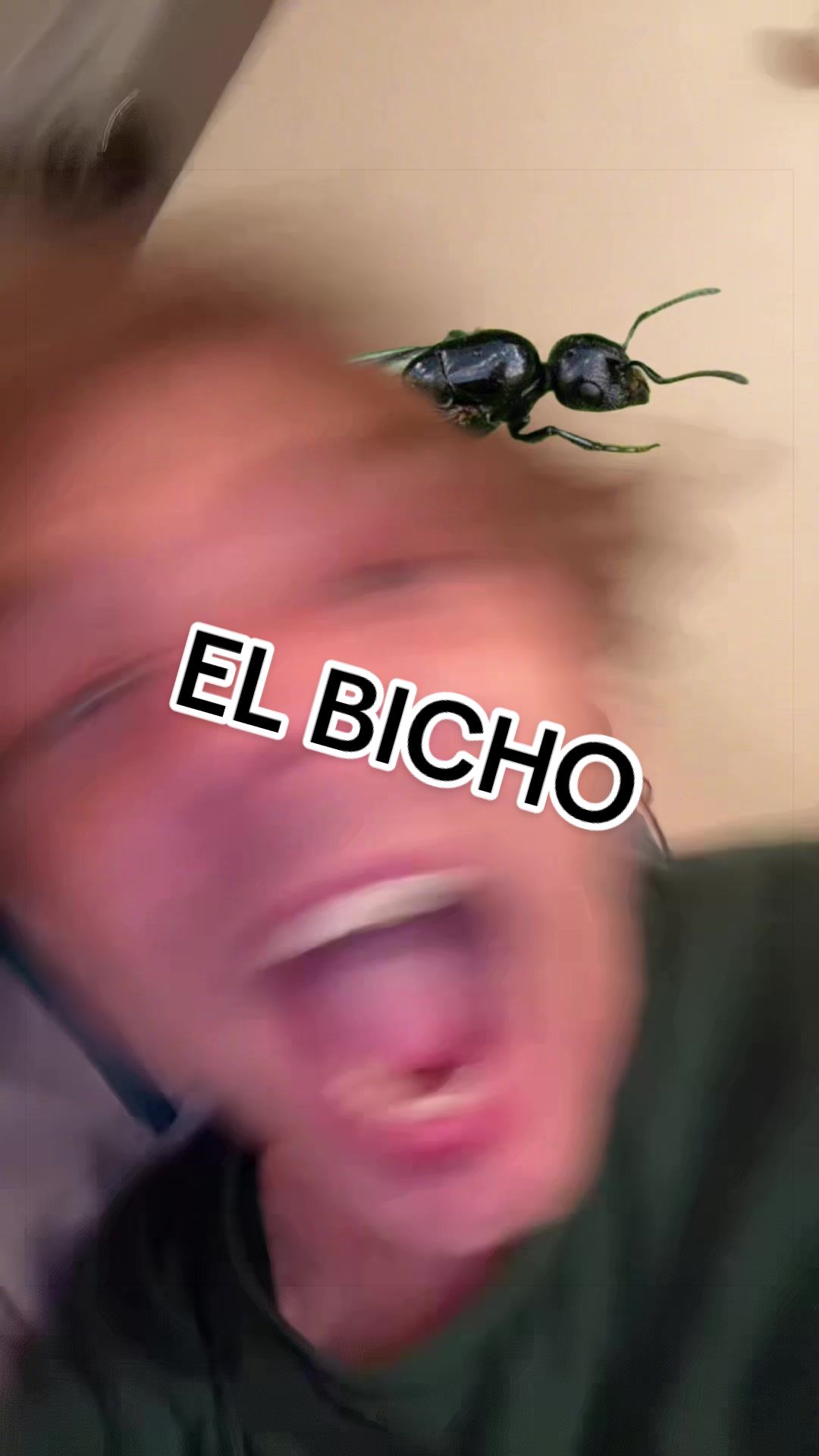 @Noah de Diego
