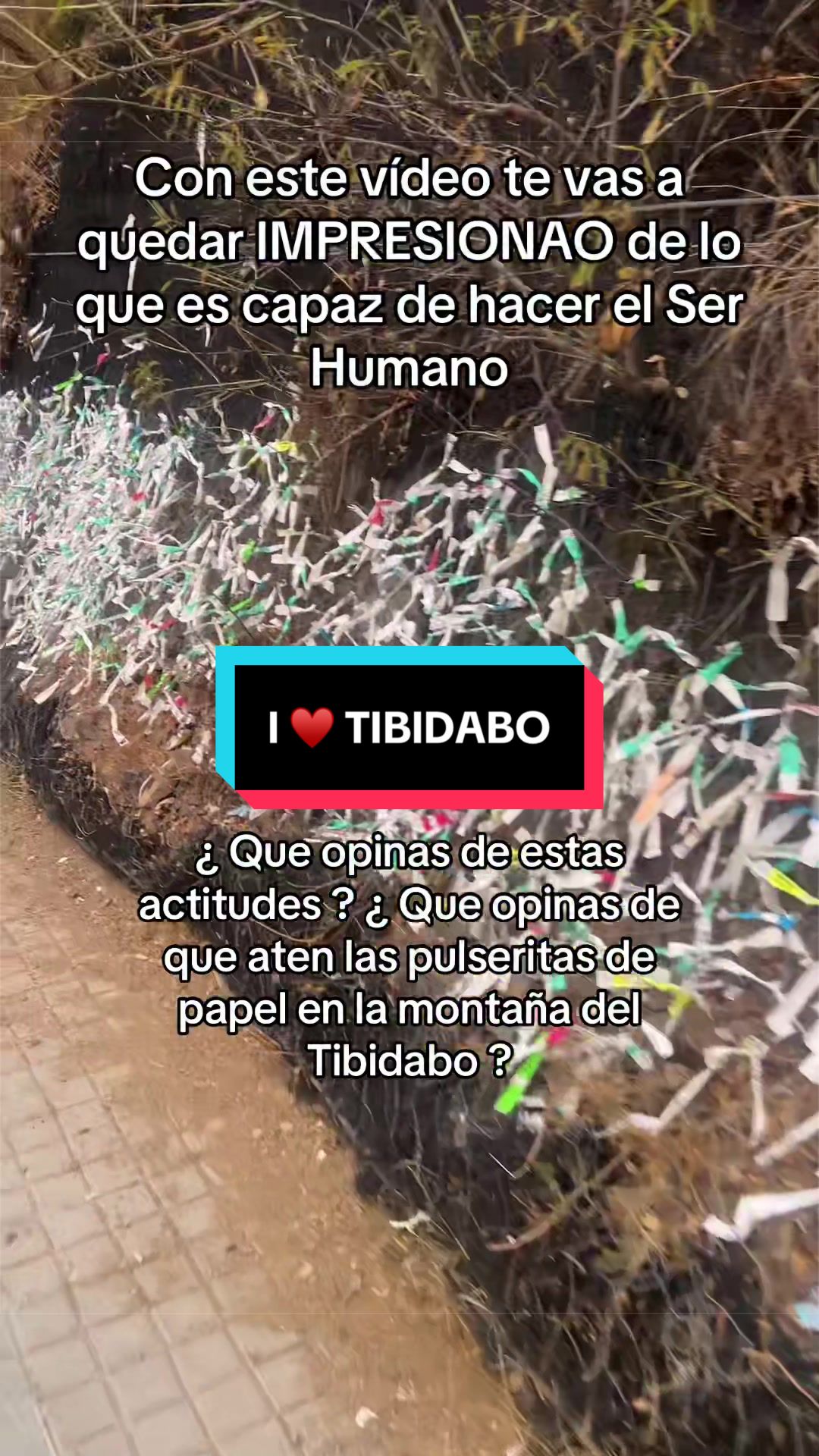 @Rafa Vilalta Rueda