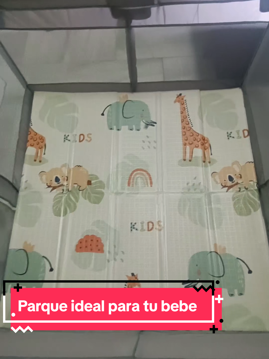 @⚖️🦂🐯JairoReyes🐯🦂⚖️