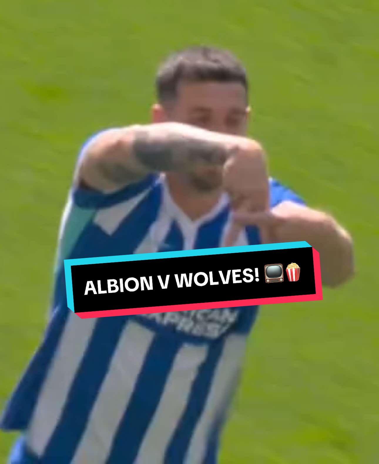 @Brighton & Hove Albion FC