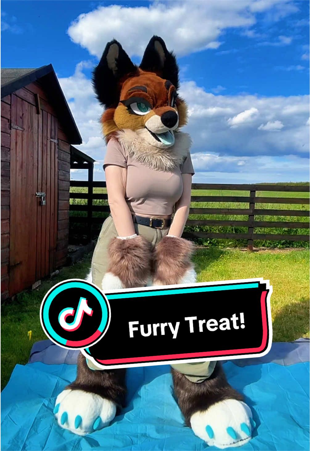 @LilFoxCori