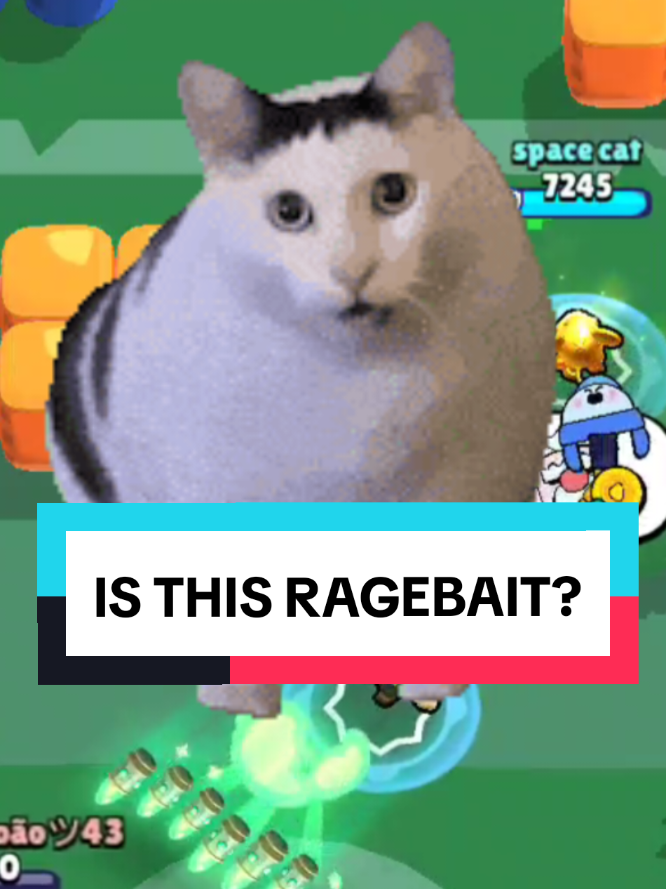@space cat