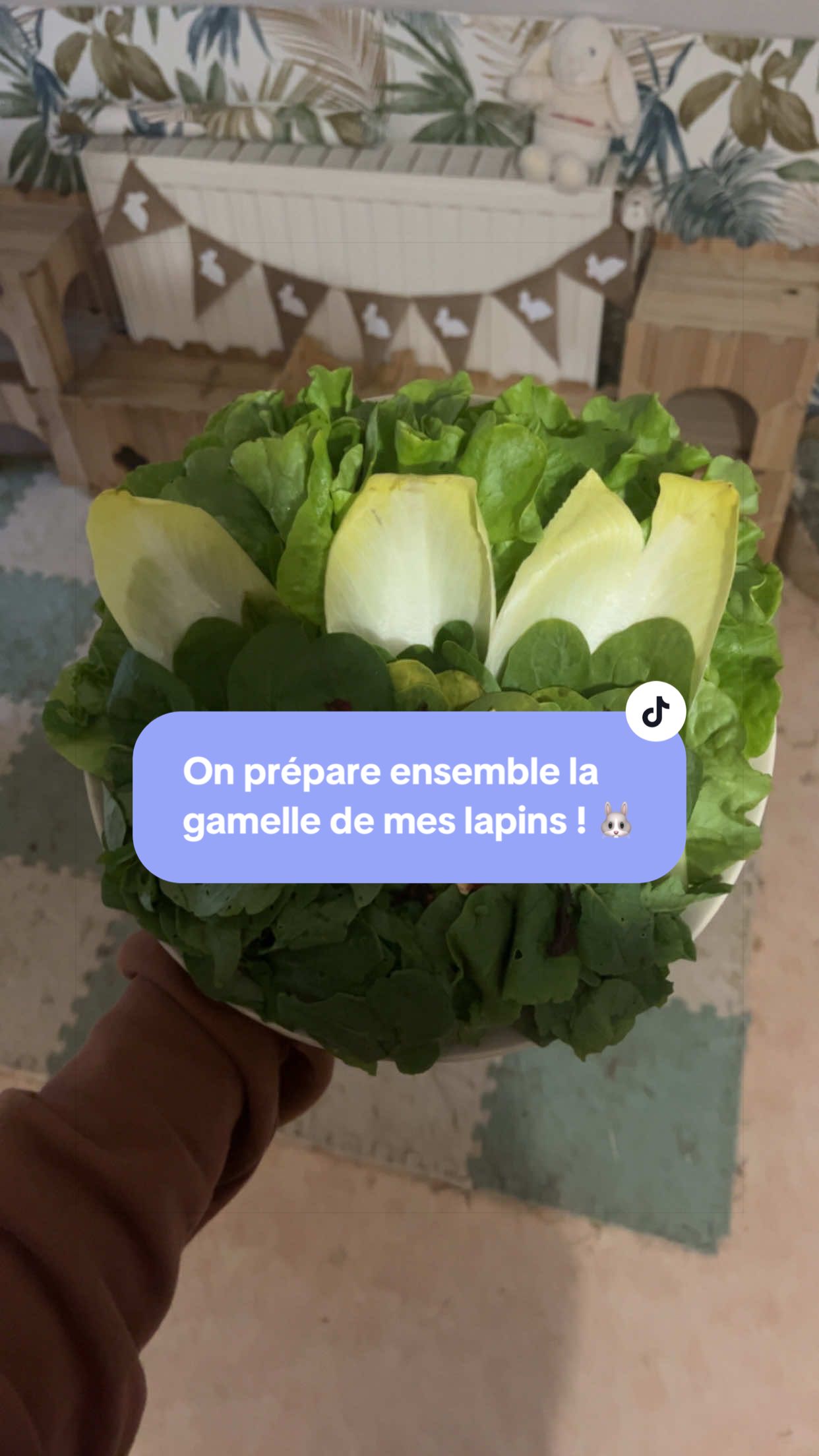 @Mes lapinouchs 🐰