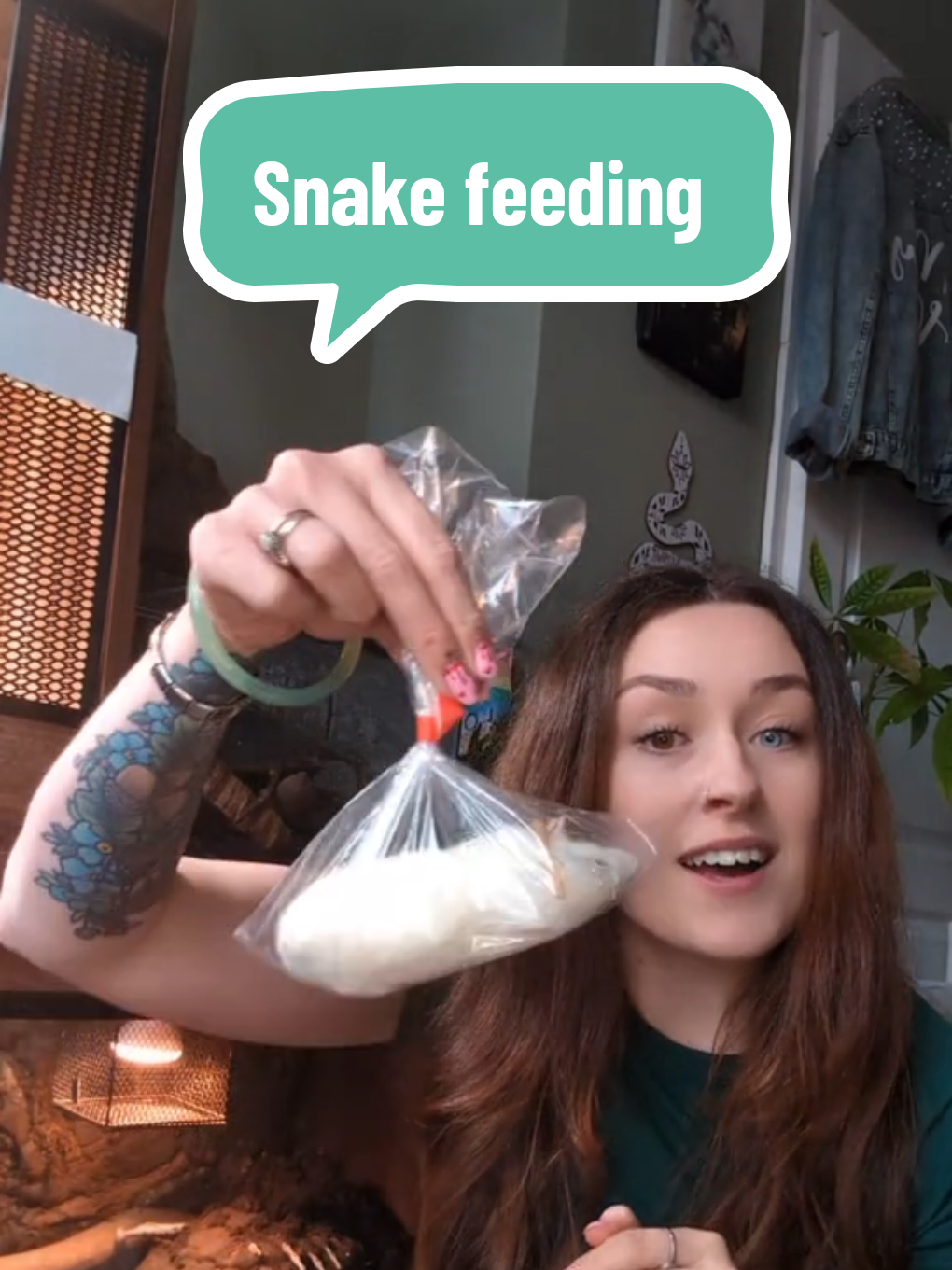 @Pets4people