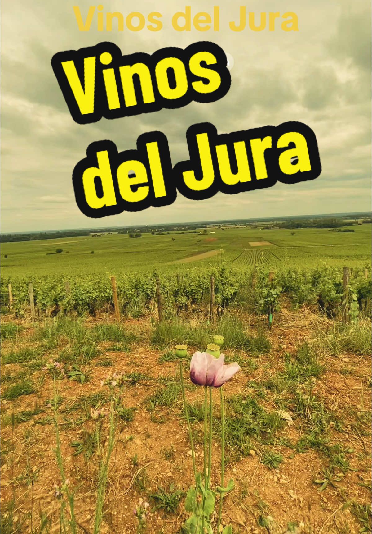 @Rocío Urium