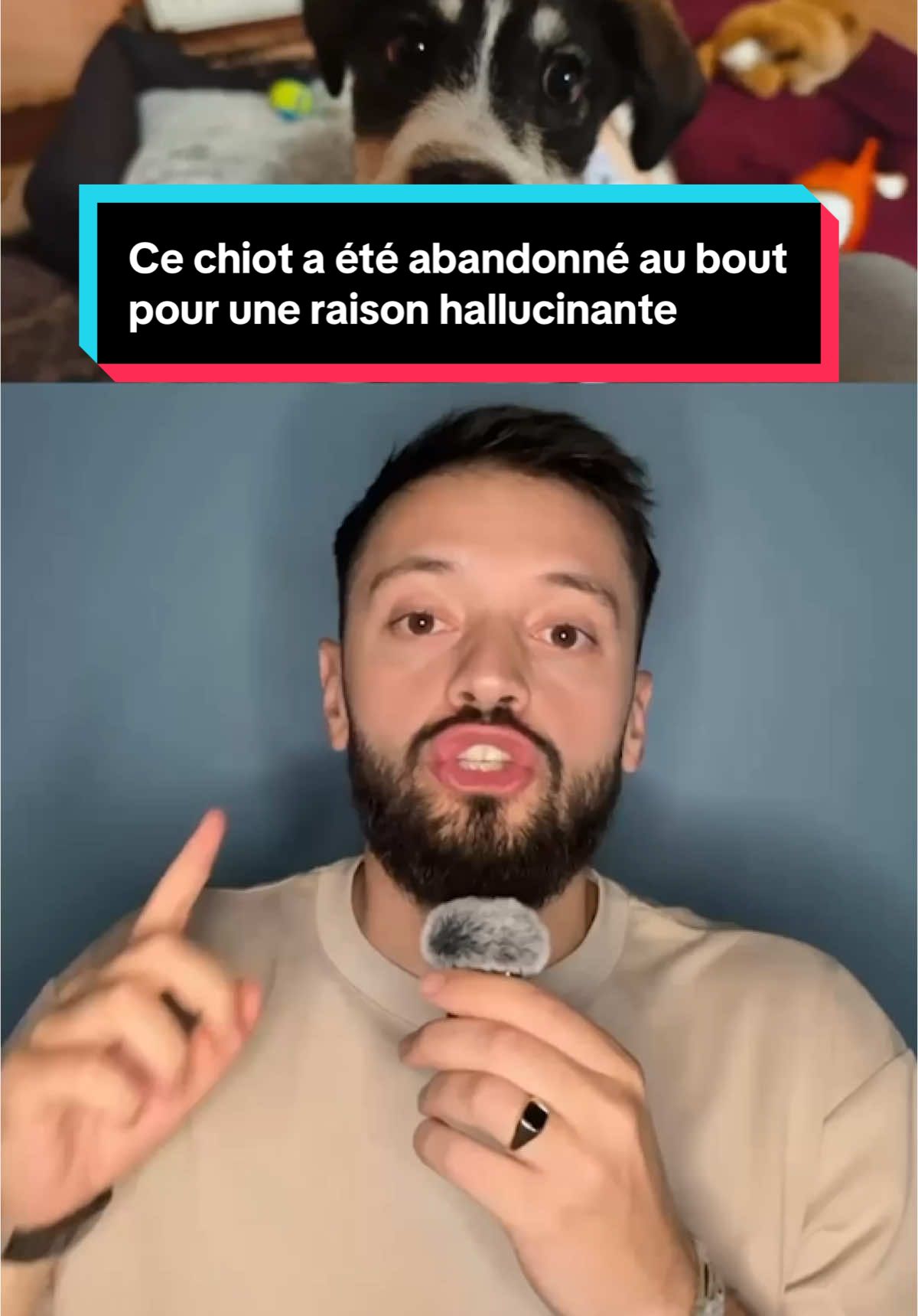 @Lucactus 🌵