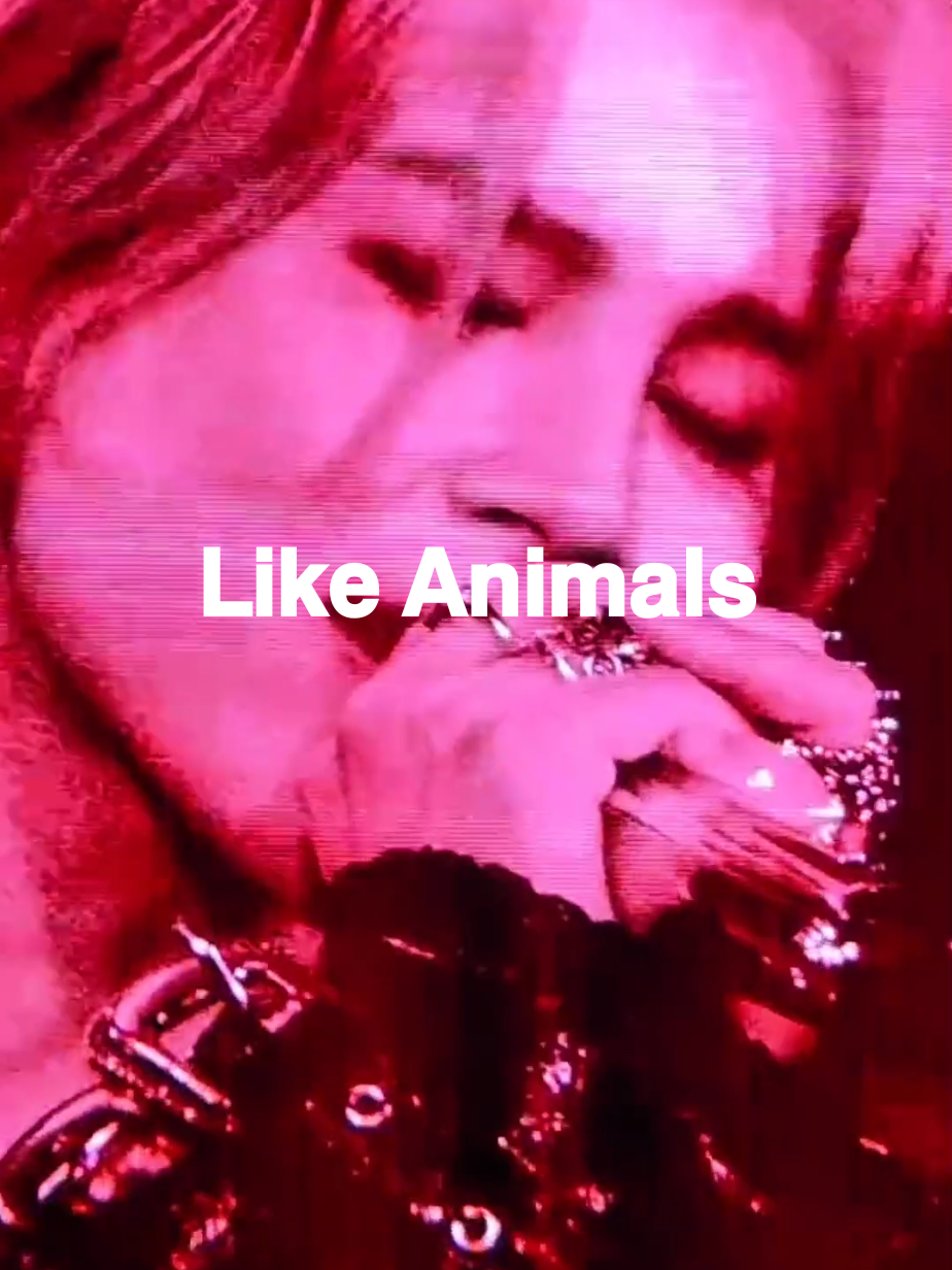 @🄼🄾🅁🄴⁷🄱🅃🅂