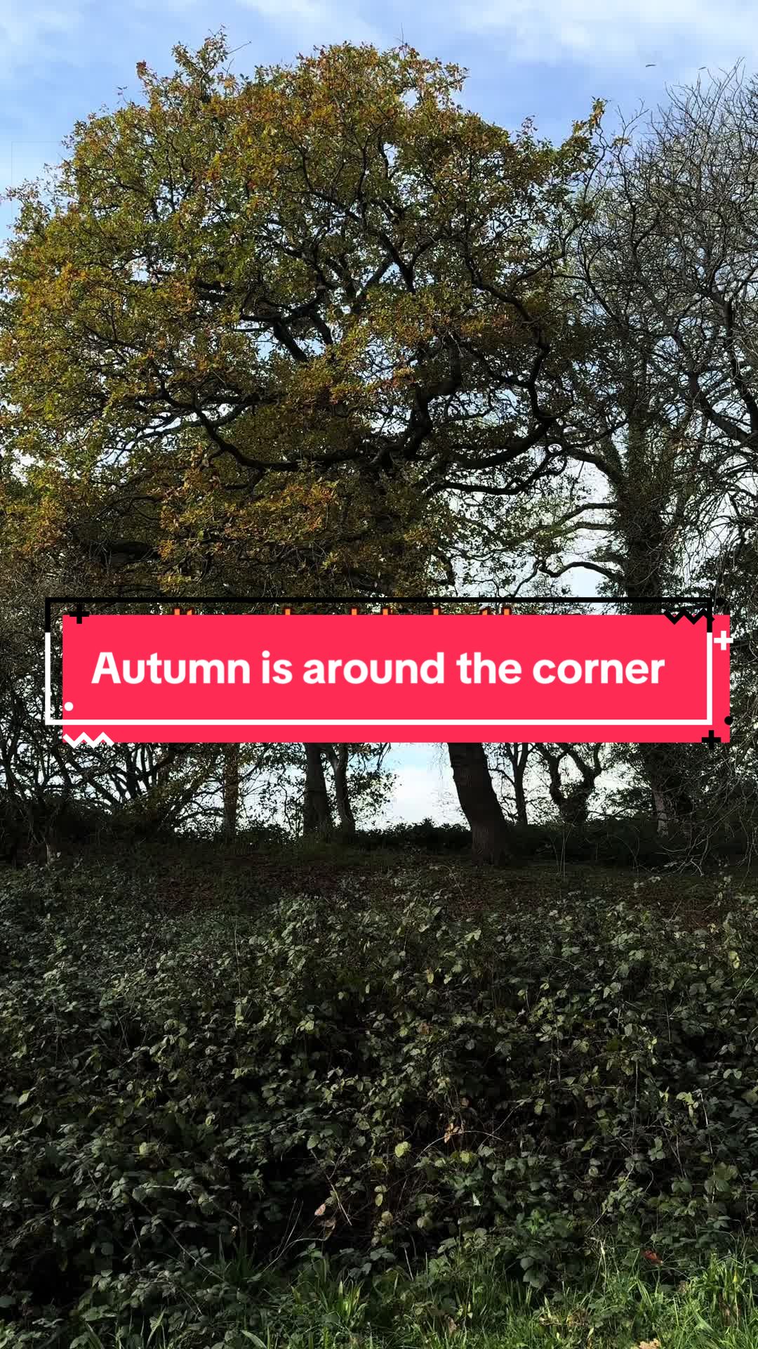 @howtobeoutdoors